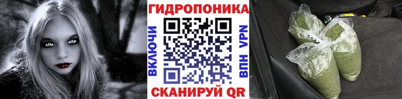 Конопля AK-47  Котлас 